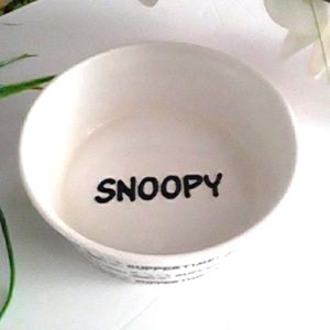 Peanuts Snoopy Bowl
